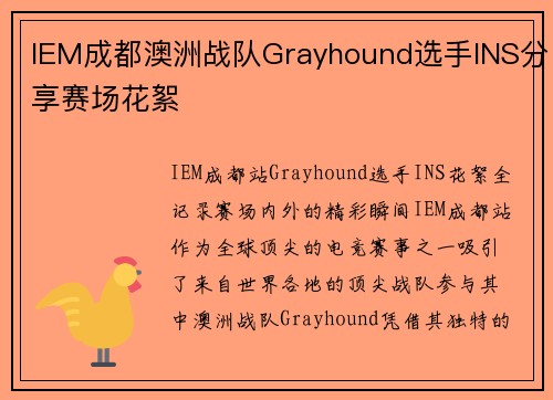 IEM成都澳洲战队Grayhound选手INS分享赛场花絮
